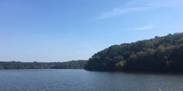 Octoraro River
