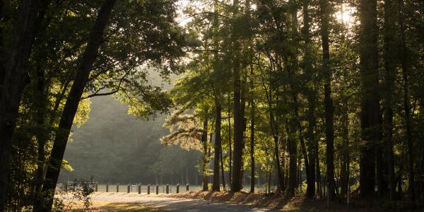 Trap Pond State Park in Sussex County, Delaware